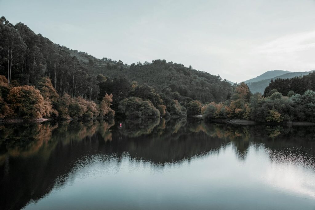 Peaceful reflection of trees and mountains on a serene lake in El Regato, Spain.